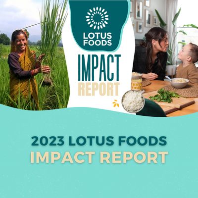 2023 Annual Impact Report
