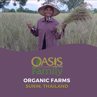Lotus Foods Supplier | Oasis Organic Farmers Thailand