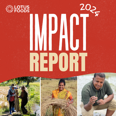 2024 Annual Impact Report