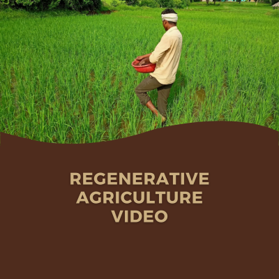 Lotus Foods' Regenerative Agriculture Work Featured in Video Shown at COP27