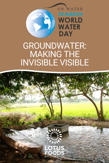 World Water Day, March 22, 2022: Groundwater – Making the Invisible Visible